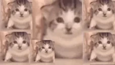 Explosions emote for Discord