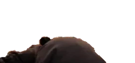 execute emote for Discord