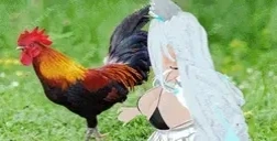 EXPLAIN emote for Discord