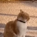 Explain emote for Discord