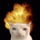 explosiveCat emote for Discord