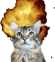 explodinglemmy emote for Discord