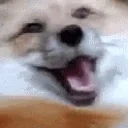 FELIPE emote for Discord