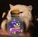 FeliShakey emote for Discord