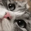 fedup animated emote for Discord, Twitch and Slack