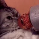 FeelsNotSpeakingMan emote for Discord