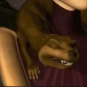 ferretOh emote for Discord