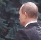 FeelsRainMan animated emote for Discord, Twitch and Slack