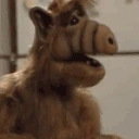 fear_alf emote for Discord