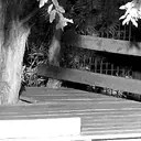 fenngoyle emote for Discord