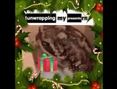 Festivities emote for Discord