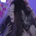 feliScarf emote for Discord