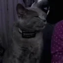 Felipe14 emote for Discord