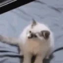 FellOff emote for Discord