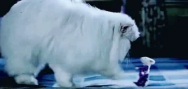 festerPad emote for Discord