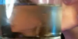 fennniq emote for Discord