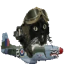 FelixCruise emote for Discord