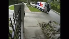 FedEx emote for Discord