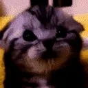 fentmore emote for Discord