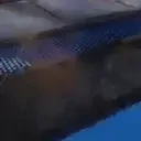 fennecDance emote for Discord