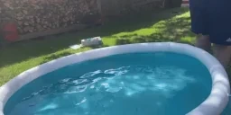 felloff emote for Discord