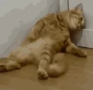 FF emote for Discord