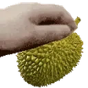 FFpetpet emote for Discord