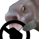 FishSTEER emote for Discord