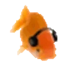 FishJam emote for Discord