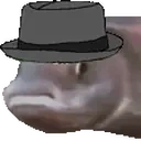 FishMLADY emote for Discord