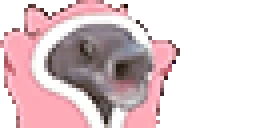 FISHIES emote for Discord