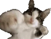 Fight emote for Discord