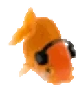 fishJAM emote for Discord