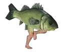 FishRun emote for Discord