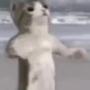 fight emote for Discord