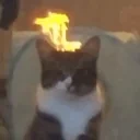 Fire emote for Discord