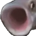 FishPop emote for Discord