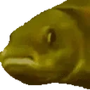 fishJAMJAM emote for Discord