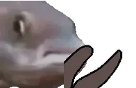 FishClap emote for Discord