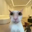 fite emote for Discord