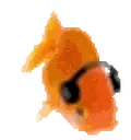 fishJAM emote for Discord
