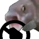 FishSTEER emote for Discord