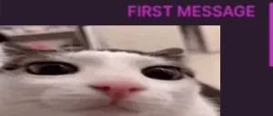 Firsttimeplinker emote for Discord