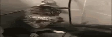 Fire emote for Discord