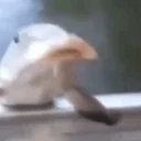 fishLeave emote for Discord