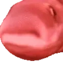 FishBOverheat emote for Discord