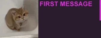 FirstTimeMeower emote for Discord