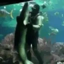 fishPls emote for Discord