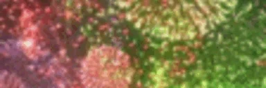 firework_width emote for Discord