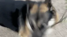 FightMe emote for Discord